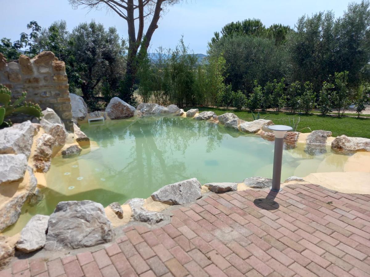 Agriturismo La Fontanella & Glamping Suvereto Exteriér fotografie