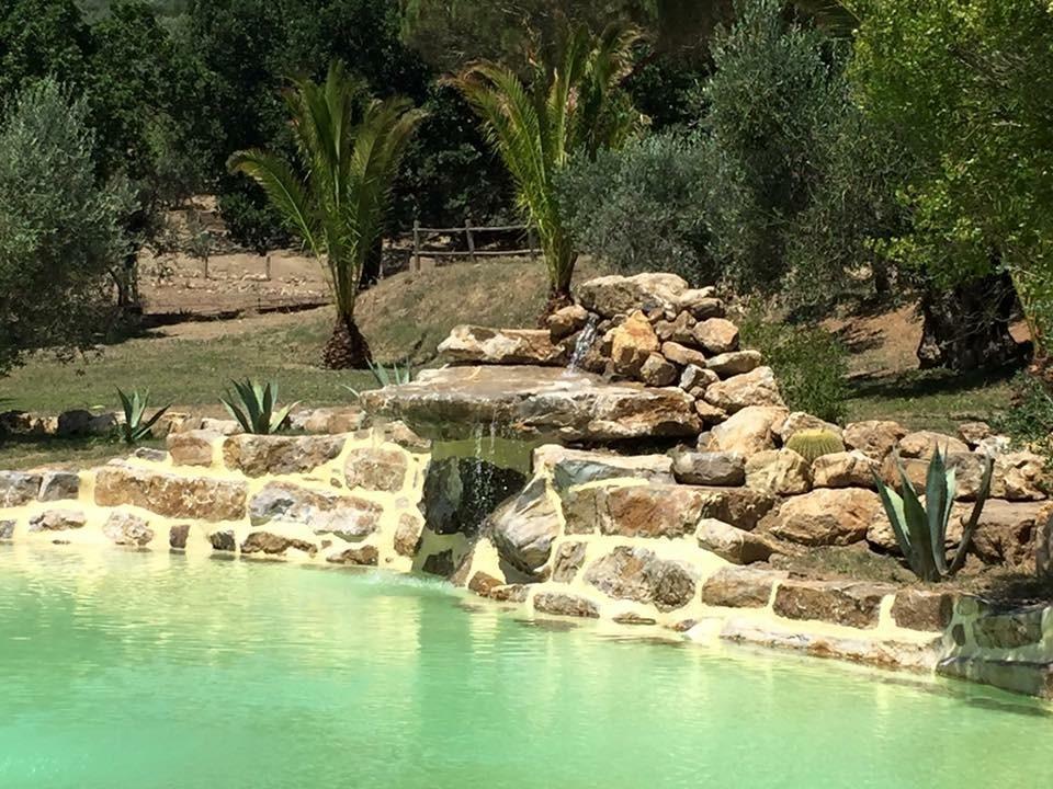 Agriturismo La Fontanella & Glamping Suvereto Exteriér fotografie
