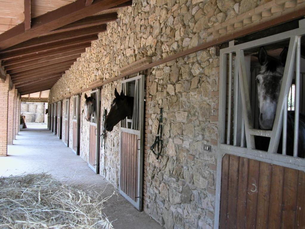 Agriturismo La Fontanella & Glamping Suvereto Exteriér fotografie